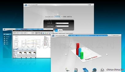 企業(yè)應(yīng)用軟件開發(fā)外包與定制服務(wù)