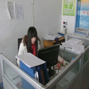 青島職業(yè)技術學院軟件與服務外包學院 軟件外包服務的產教融合典范